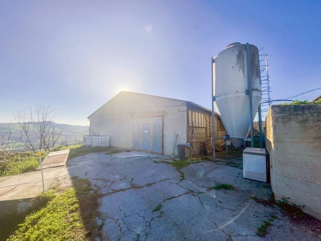 trivano in vendita a Montottone