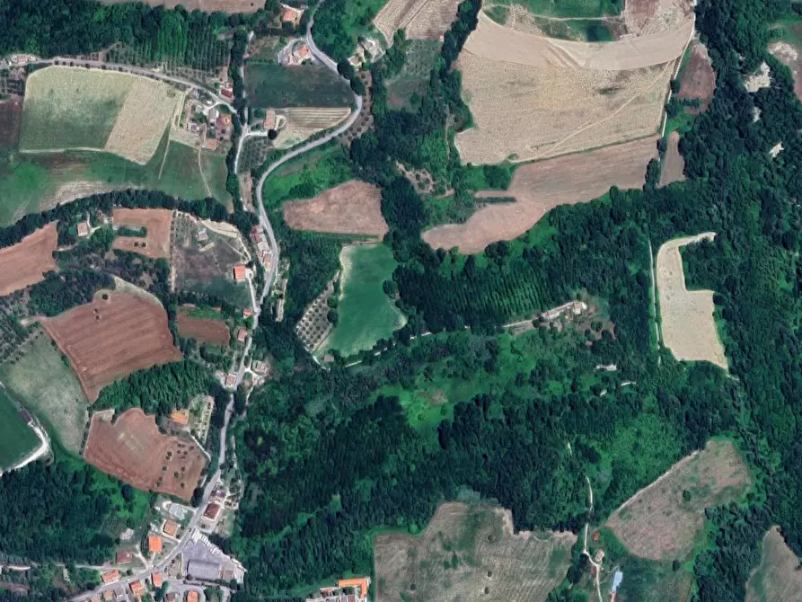 terreno agricolo in vendita a Montottone