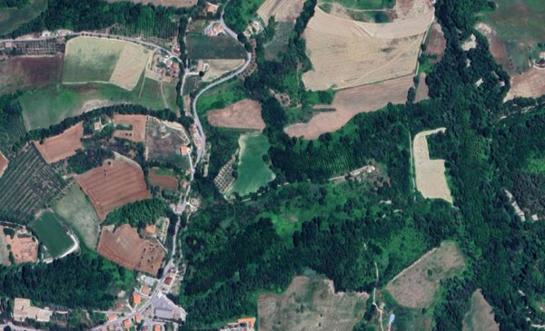 terreno agricolo in vendita a Montottone