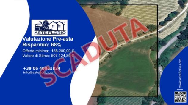 terreno agricolo in vendita a Montottone