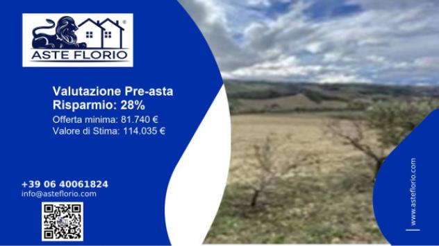 terreno agricolo in vendita a Montottone