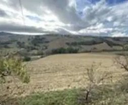 terreno agricolo in vendita a Montottone