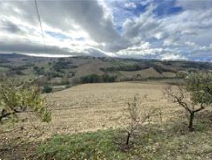 terreno agricolo in vendita a Montottone