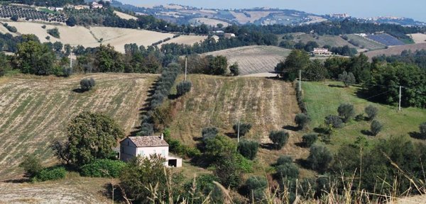 attico in vendita a Montottone