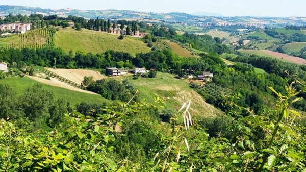 casa indipendente in vendita a Montottone