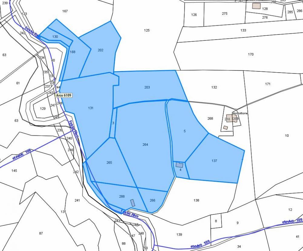rudere in vendita a Montottone