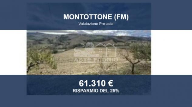 terreno edificabile in vendita a Montottone