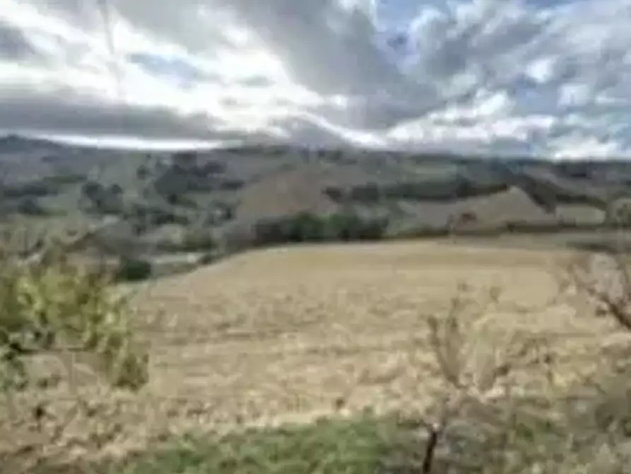 terreno agricolo in vendita a Montottone