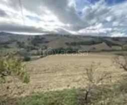 monolocale in vendita a Montottone