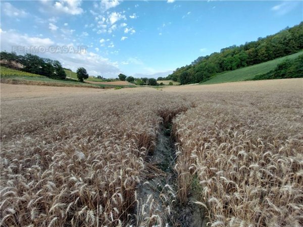 terreno in vendita a Montottone