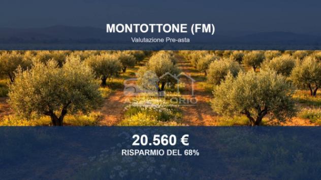 terreno agricolo in vendita a Montottone