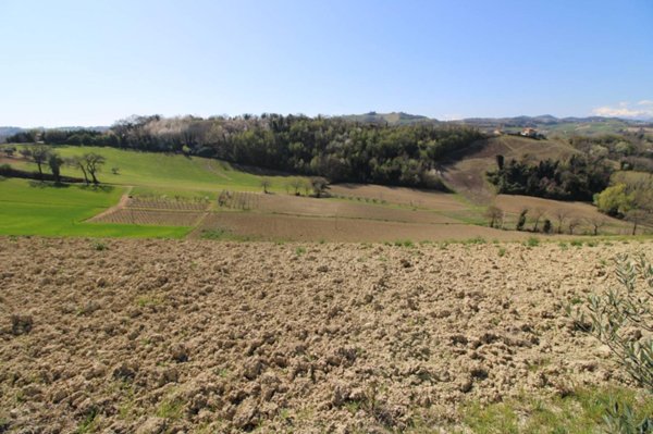 casa indipendente in vendita a Montottone