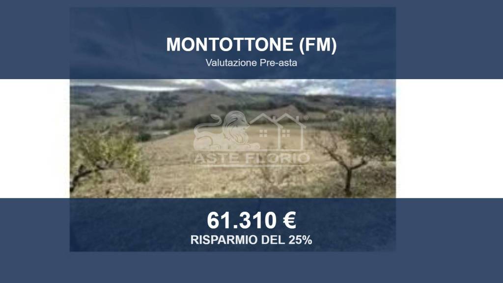 terreno agricolo in vendita a Montottone