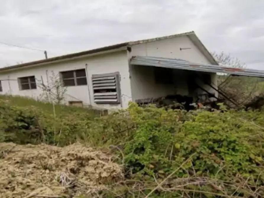 locale di sgombero in vendita ad Ortezzano