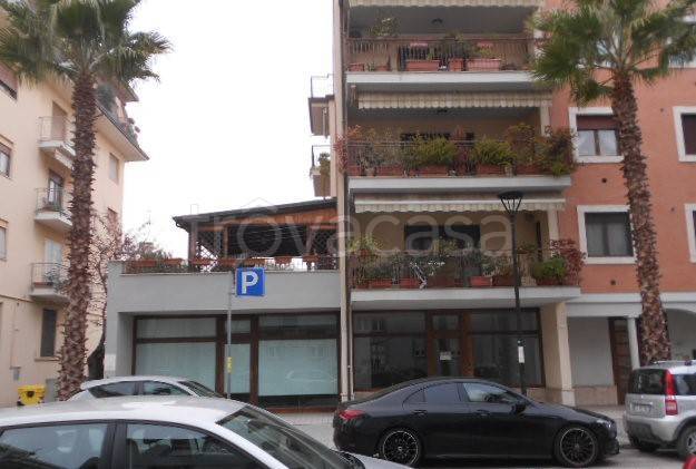 negozio in vendita a Pedaso