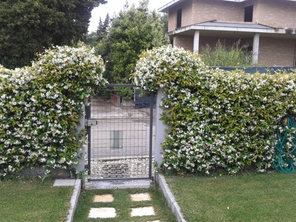 casa indipendente in vendita a Pedaso