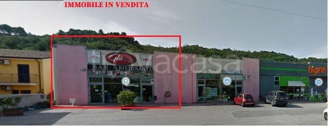 appartamento in vendita a Pedaso