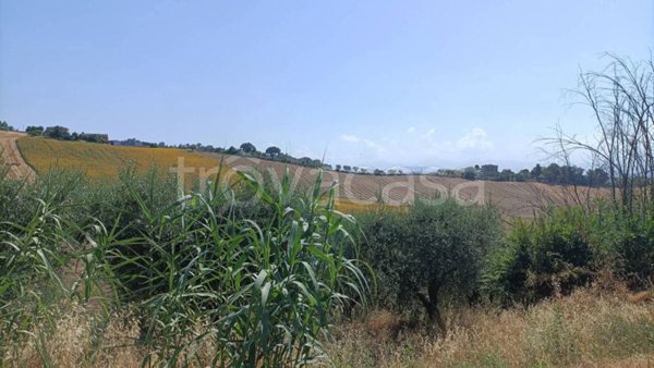 terreno agricolo in vendita a Petritoli