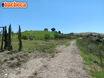 appartamento in vendita a Petritoli