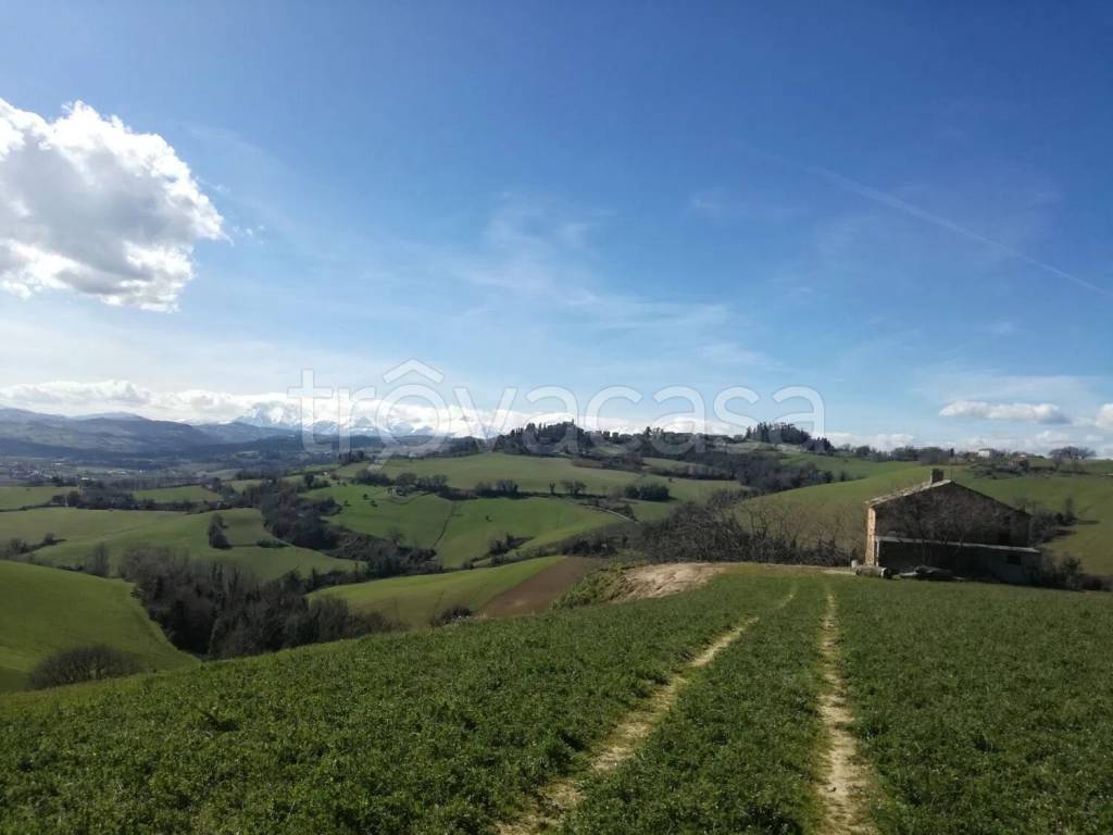 casa indipendente in vendita a Petritoli