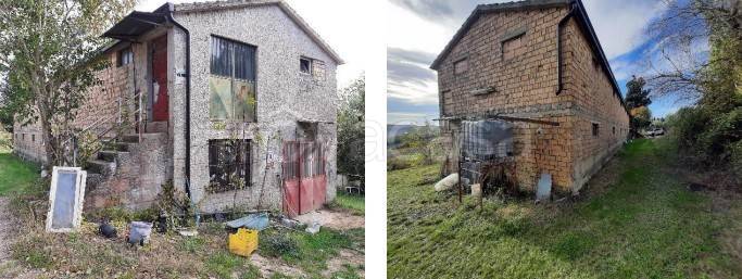 negozio in vendita a Petritoli