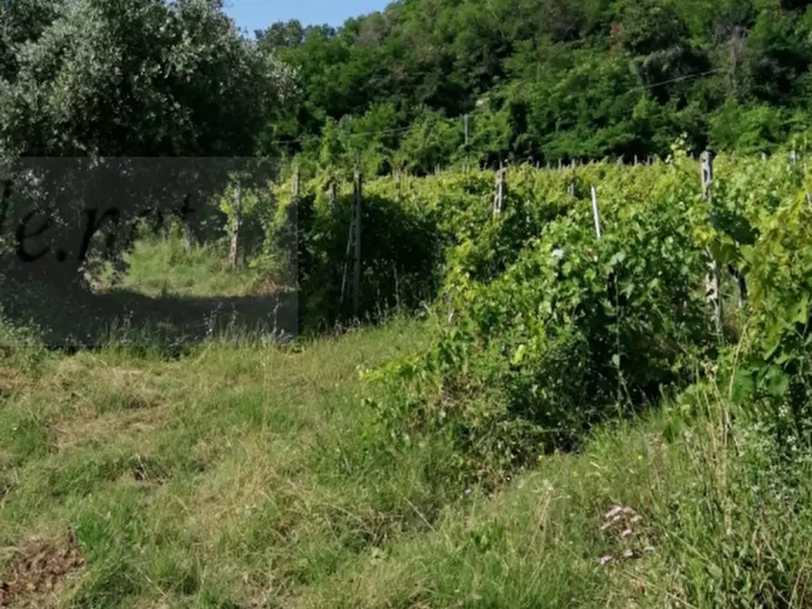 terreno agricolo in vendita a Petritoli