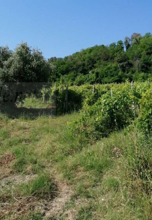 terreno agricolo in vendita a Petritoli