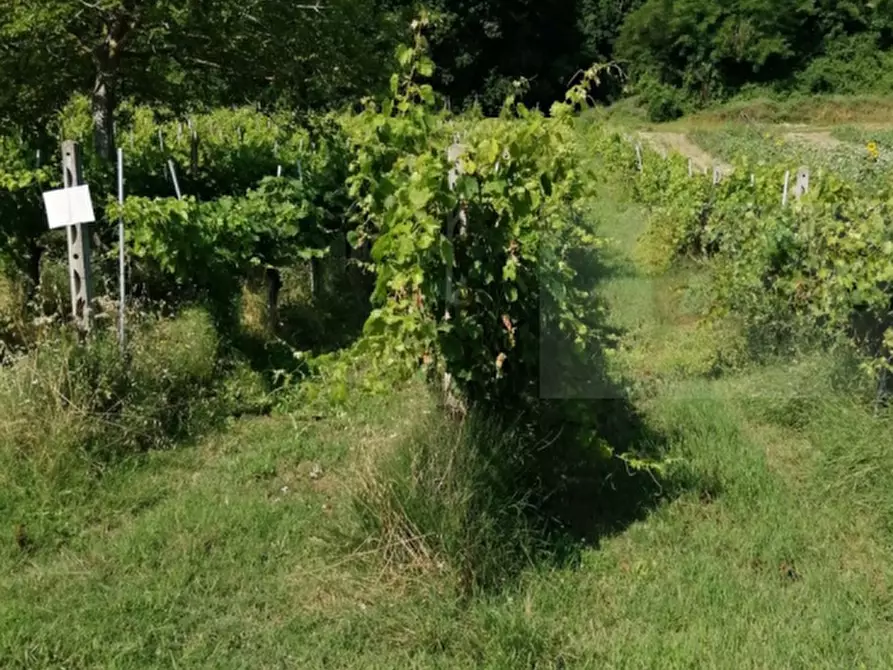 terreno agricolo in vendita a Petritoli