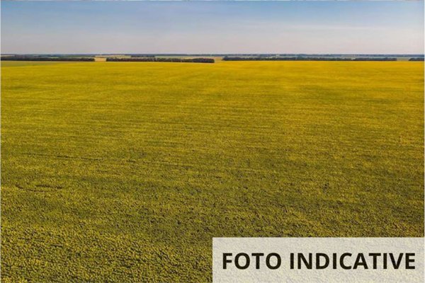 terreno agricolo in vendita a Petritoli