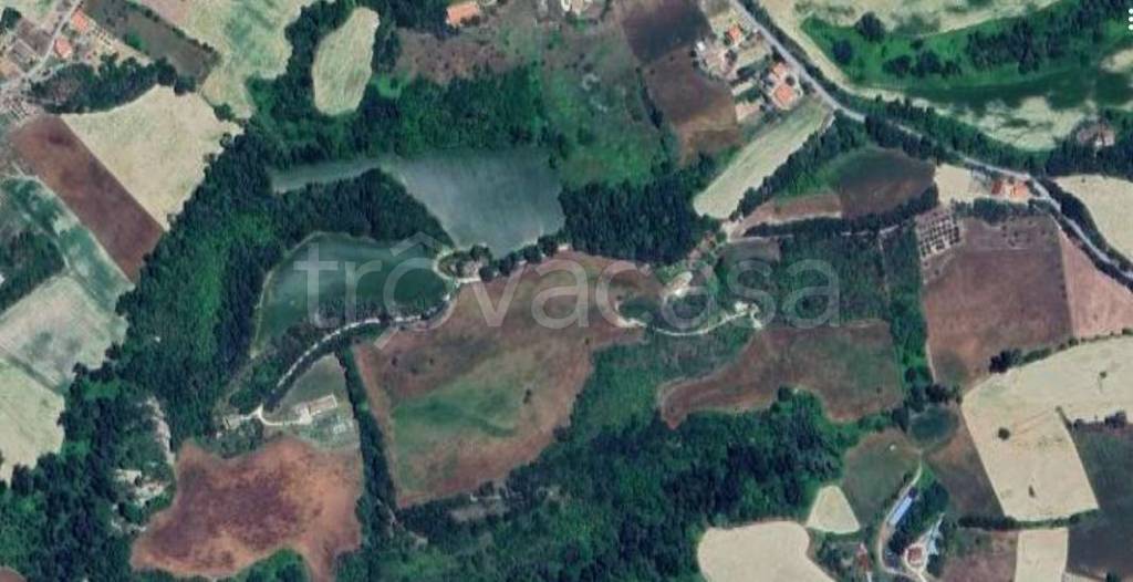 terreno agricolo in vendita a Petritoli