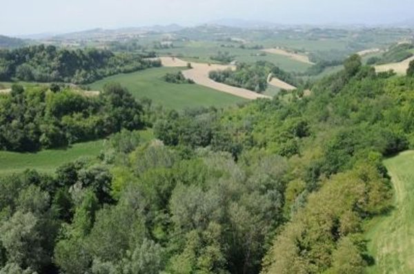 immagine annuncio 0 di 10