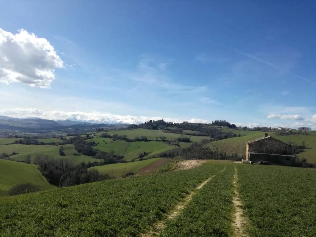 casa indipendente in vendita a Petritoli