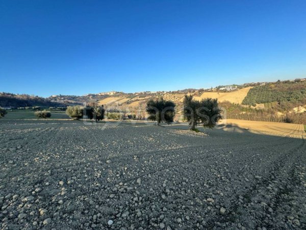 terreno agricolo in vendita a Petritoli