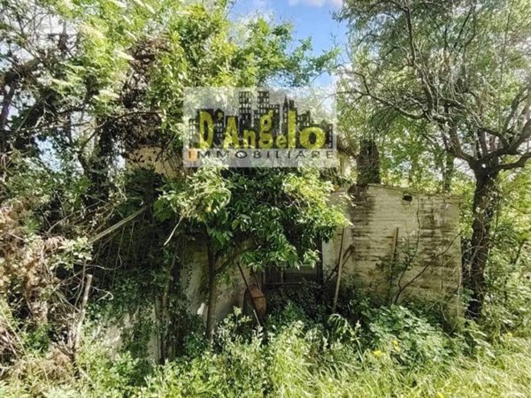 negozio in vendita a Petritoli