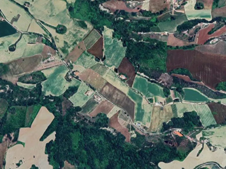 terreno agricolo in vendita a Petritoli