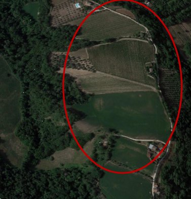 terreno agricolo in vendita a Petritoli