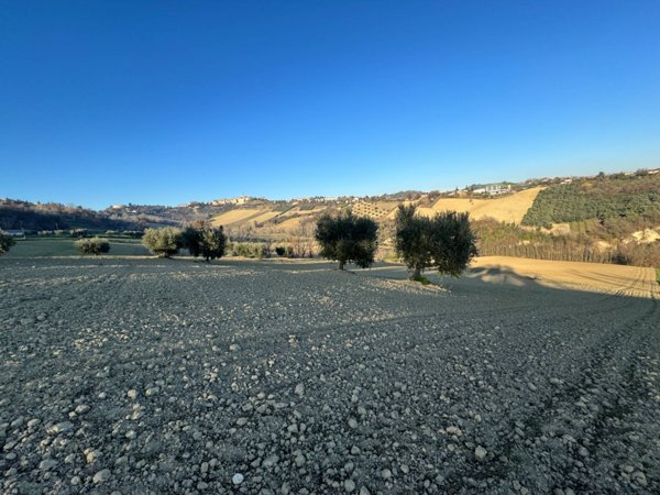 terreno agricolo in vendita a Petritoli