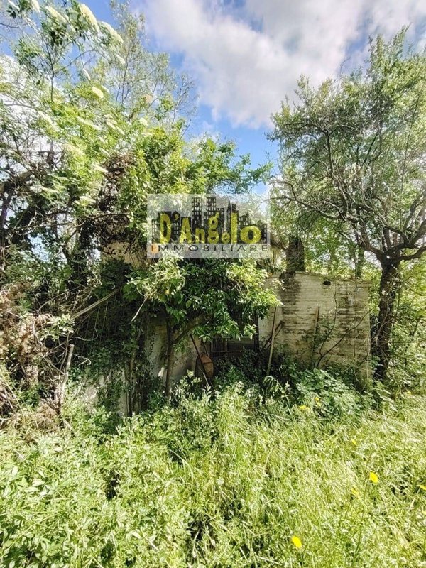 negozio in vendita a Petritoli