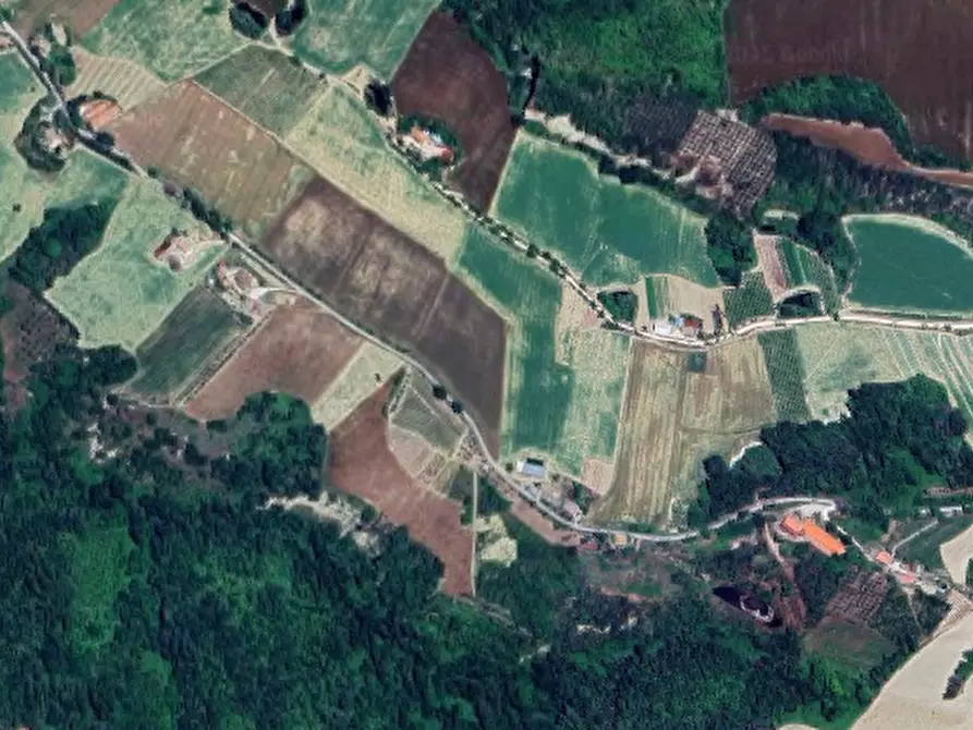 terreno agricolo in vendita a Petritoli