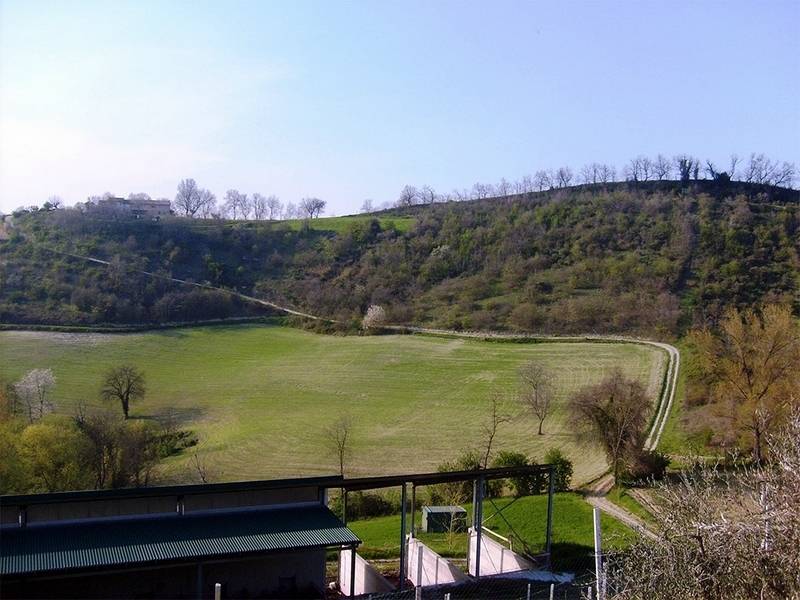 azienda agricola in vendita a Petritoli