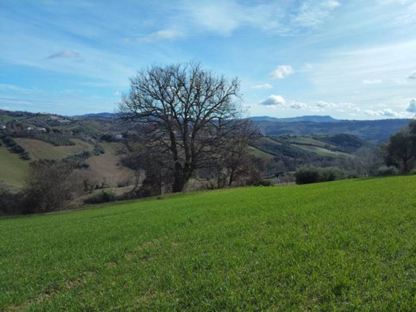 casa indipendente in vendita a Petritoli