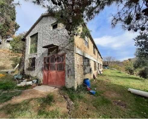 negozio in vendita a Petritoli