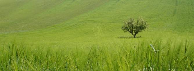 negozio in vendita a Petritoli