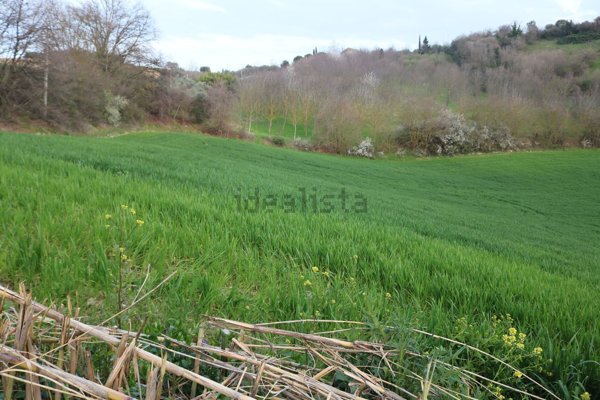casale in vendita a Ponzano di Fermo