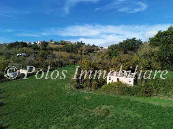 esavano in vendita a Ponzano di Fermo