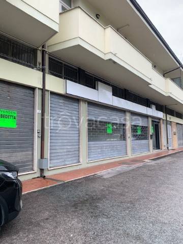 negozio in vendita a Porto San Giorgio