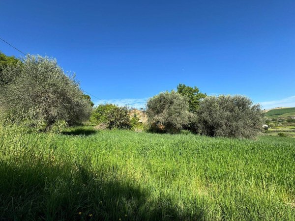 esavano in vendita a Porto San Giorgio