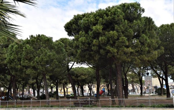 locale commerciale in vendita a Porto San Giorgio