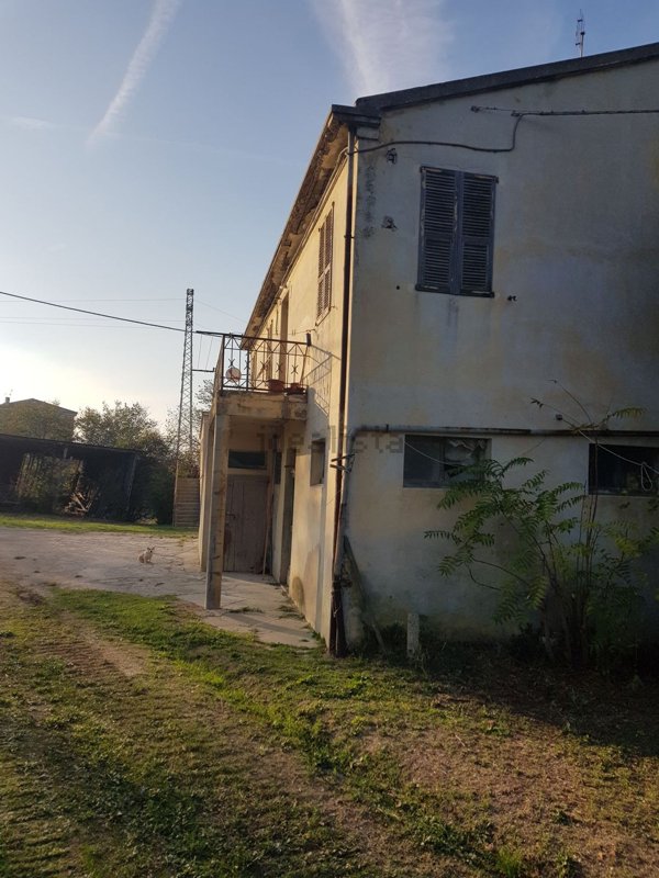 esavano in vendita a Porto San Giorgio