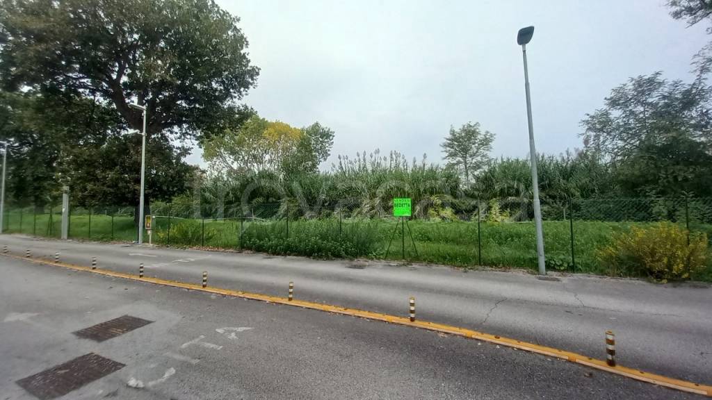 terreno agricolo in vendita a Porto Sant'Elpidio